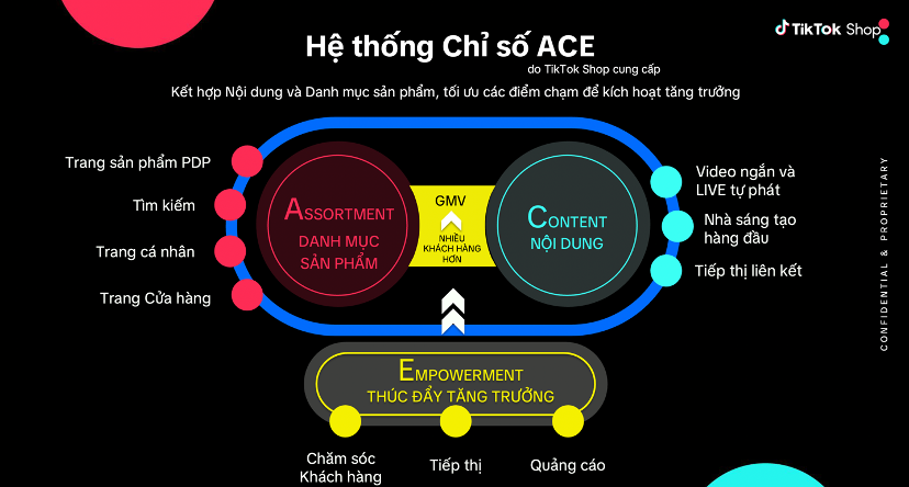 3. Mô hình ACE: Chiến lược tăng trưởng toàn diện